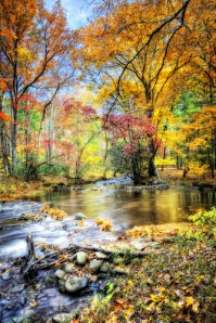 changing-leaves-and-river.jpg Seasons of change and currents flowing through river, Heraclitus, change is the only constant