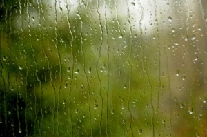 Rain on the window
